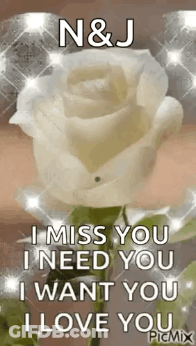 A White Rose With The Words `` I Miss You I Need You I Want You I Love You '' . GIF