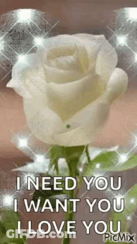 A White Rose With The Words `` I Need You I Want You I Love You '' . GIF