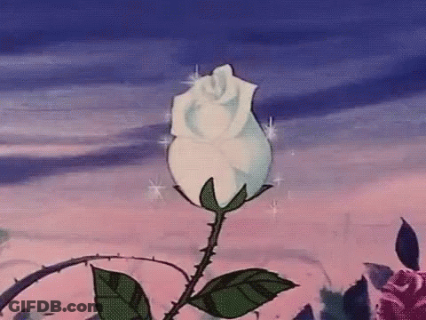 A White Rose With Thorns And Leaves Is Against A Pink And Blue Sky In A Cartoon . GIF
