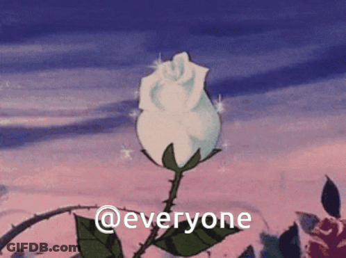 A White Rose With Thorns And The Words @Everyone GIF