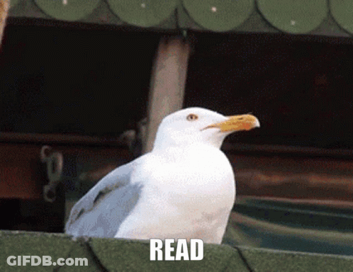 A White Seagull Sitting On A Green Roof With The Word Read Written Below It GIF