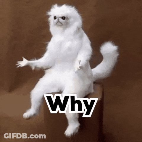 A White Stuffed Animal Is Sitting On A Box With The Word Why Written On It GIF