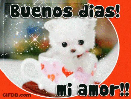A White Teddy Bear Is Sitting In A Cup With The Words Buenos Dias Mi Amor Written Below It GIF