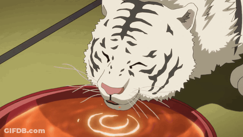 A White Tiger Drinks From A Red Bowl GIF