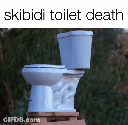 A White Toilet Sits On A Wooden Stool With The Words Skibidi Toilet Death Above It GIF