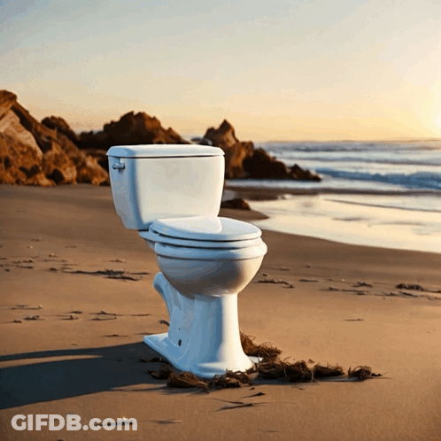 A White Toilet Sits On The Beach Near The Ocean GIF
