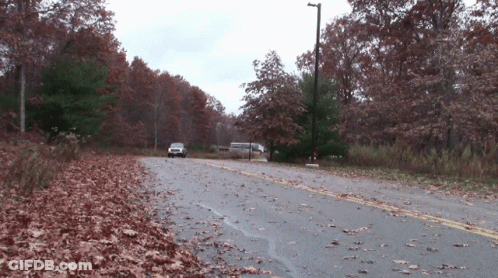 A White Truck Is Driving Down A Road Surrounded By Trees GIF