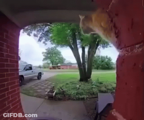 A White Truck Is Parked In Front Of A House GIF