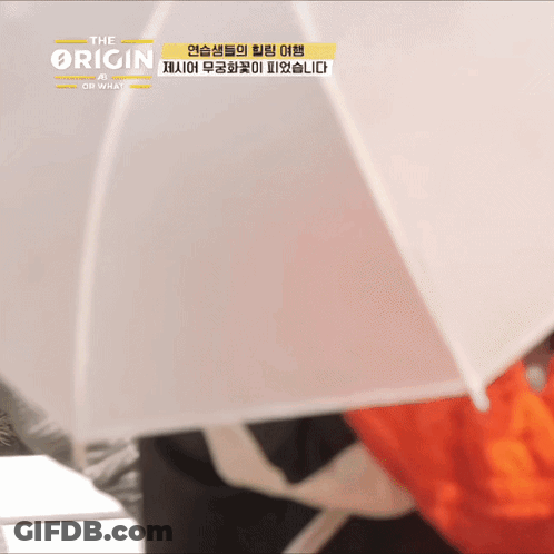 A White Umbrella That Says The Origin On The Bottom GIF