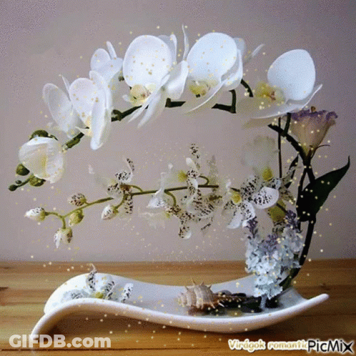A White Vase Filled With White Flowers And Seashells Has A Watermark That Says Virigak Romantic Picmix On It GIF