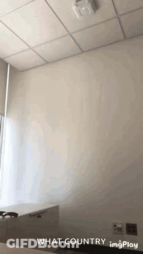 A White Wall With The Words What Country Imgplay Written On It GIF
