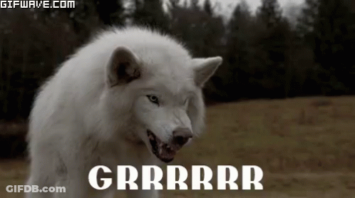 A White Wolf Is Standing In A Field With Its Mouth Open And The Word Grrrr Written On The Bottom . GIF