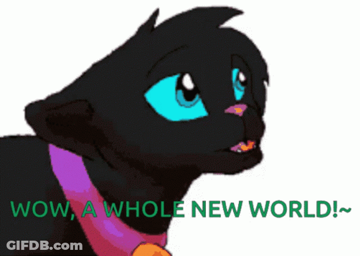 A Whole New World Black Warrior Cat GIF