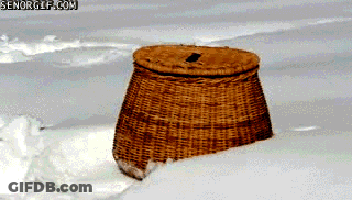 A Wicker Basket Sitting In The Snow With Senorgif.com Written On The Bottom GIF