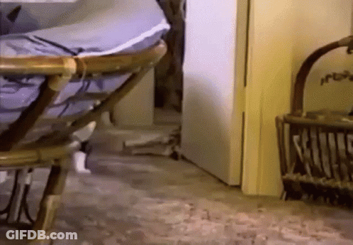 A Wicker Chair Is Sitting In A Room Next To A Door GIF