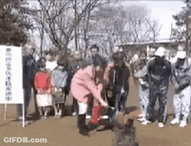 A Wild Fire Extinguisher Experience GIF