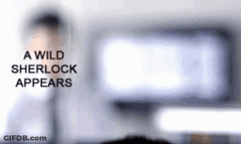 A Wild Sherlock Holmes Appears GIF
