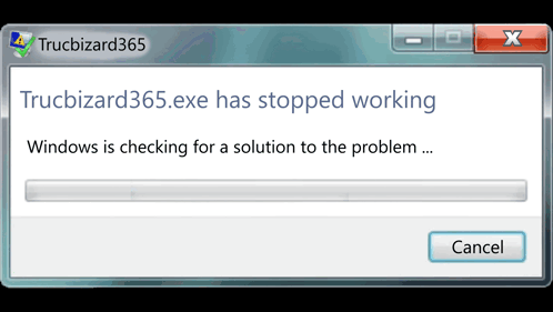A Window That Says " Trucbizard365.exe Has Stopped Working " GIF