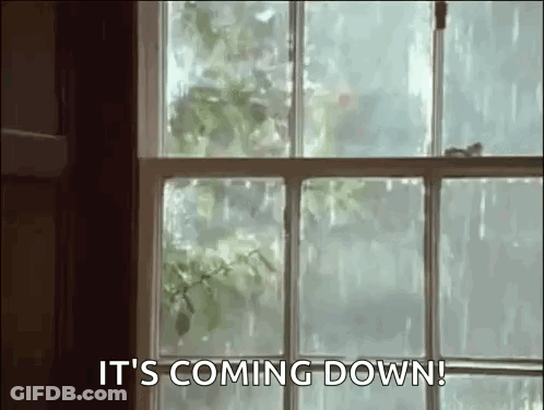 A Window With A Bird Flying Out Of It And The Words `` It 'S Coming Down '' . GIF