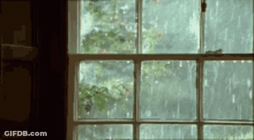 A Window With A View Of A Tree And Rain Coming Through It GIF
