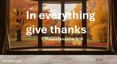 A Window With Autumn Leaves And The Words In Everything Give Thanks GIF