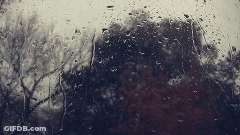 A Window With Rain Drops On It Looking Out To Trees GIF