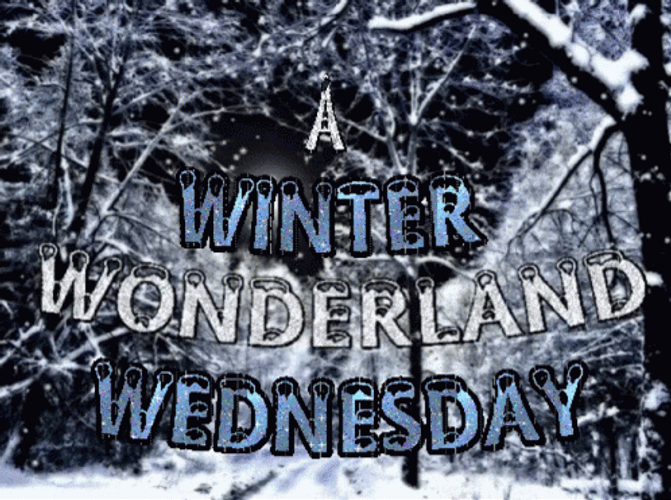 A Winter Snowy Wonderland Saturday GIF