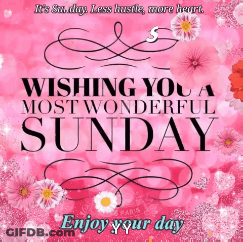 A Wishing You A Most Wonderful Sunday Card With Pink Flowers GIF