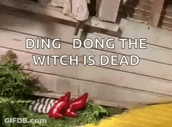 A Witch Is Laying On The Ground In Front Of A Wooden Building . GIF
