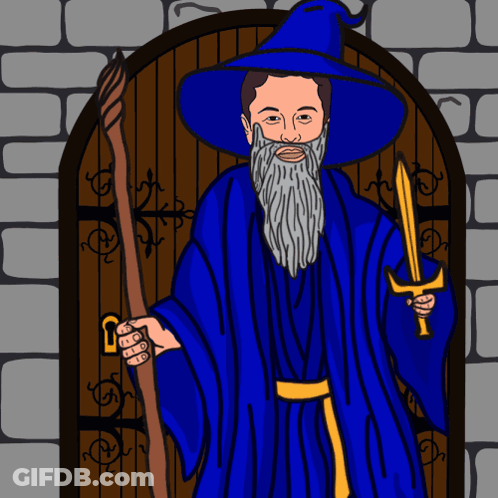 A Wizard Holding A Sword And A Cane In Front Of A Door GIF