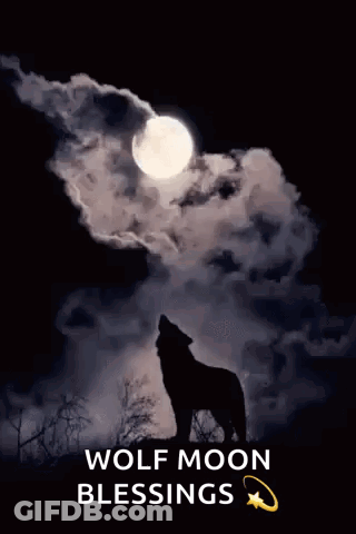 A Wolf Howling At The Full Moon With The Words Wolf Moon Blessings Below It GIF