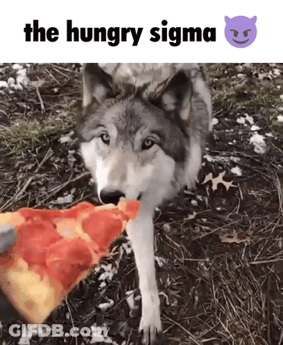 A Wolf Is Eating A Slice Of Pizza With The Words The Hungry Sigma Above It GIF