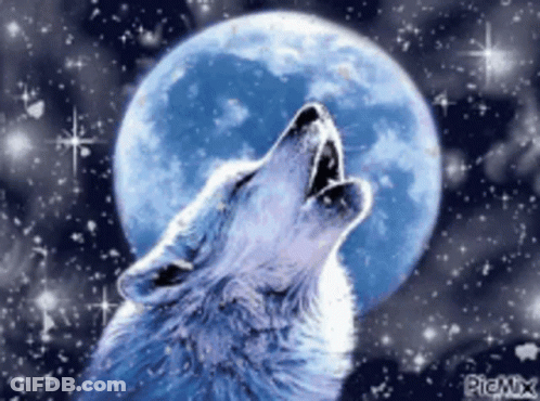 A Wolf Is Howling At The Full Moon In The Night Sky GIF