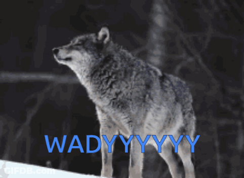 A Wolf Is Standing In The Snow With The Words Wadyyyyy Written In Blue GIF