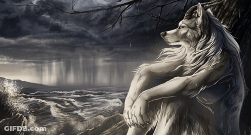 A Wolf Sitting On A Rock Looking Out Over The Ocean GIF