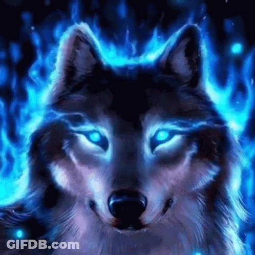 A Wolf With Blue Eyes Is Surrounded By Blue Flames And Is Glowing In The Dark . GIF