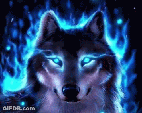 A Wolf With Blue Eyes Is Surrounded By Blue Flames In A Dark Room . GIF