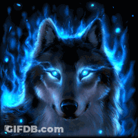 A Wolf With Blue Eyes Is Surrounded By Fire GIF