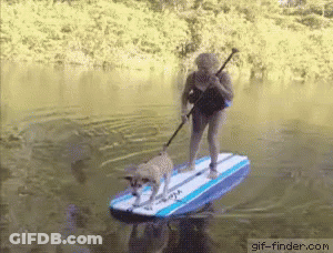 A Woman And A Dog On A Surfboard In The Water GIF