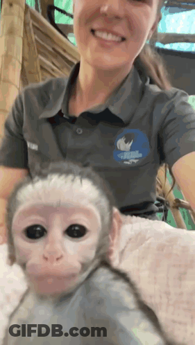 A Woman Holding A Baby Monkey With A Shirt That Says Rhino GIF