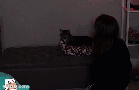 A Woman Holding A Black Cat With The Words Caught Me A Kitty Behind Her GIF