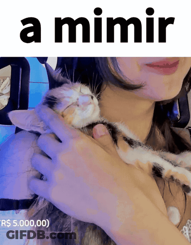 A Woman Holding A Cat With The Words A Mimir Written Above Her GIF