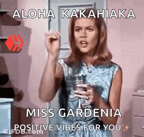 A Woman Holding A Glass Of Wine With The Words Aloha Kakahiaka Miss Gardenia Positive Vibes For You GIF
