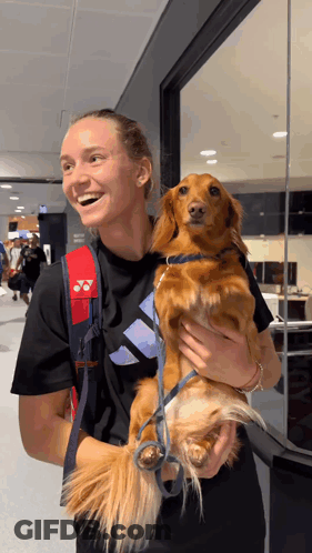 A Woman Holding A Small Brown Dog Wearing An Adidas Backpack GIF