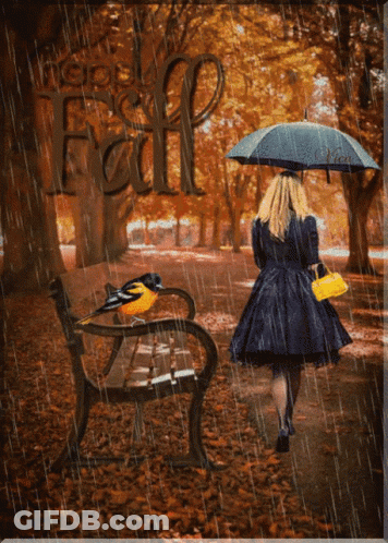 A Woman Holding An Umbrella Walks In The Rain With A Bird On A Bench GIF