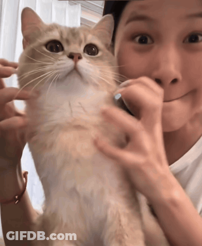 A Woman Holds A Cat In Her Arms And The Cat Is Looking At The Camera GIF