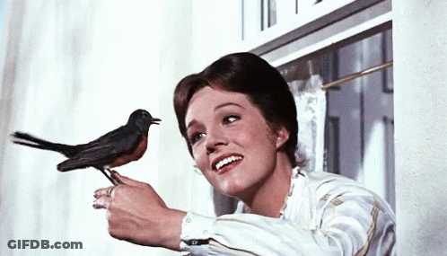 A Woman Holds A Small Black Bird In Her Hand GIF
