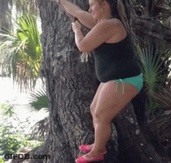 A Woman In A Bikini Is Climbing A Tree In The Woods . GIF