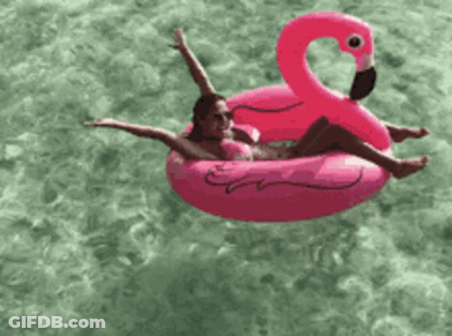 A Woman In A Bikini Is Floating On A Pink Flamingo Float In The Water GIF