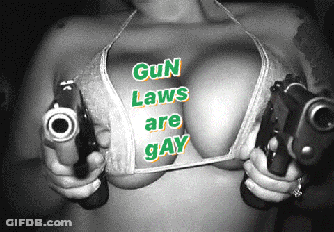 A Woman In A Bikini Is Holding Two Guns With The Words Gun Laws Are Gay Above Her Breasts GIF